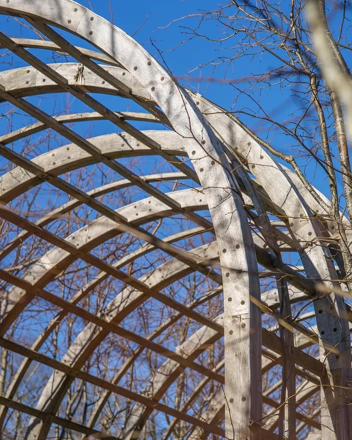 Pergola en chêne — Taïga