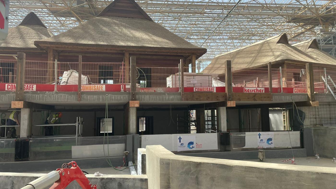 Sur le chantier — Serre Edenya — Pairi Daiza — Brugelette