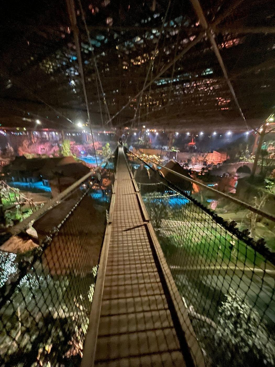 Serre Edenya — Pairi Daiza — Brugelette — étape 4